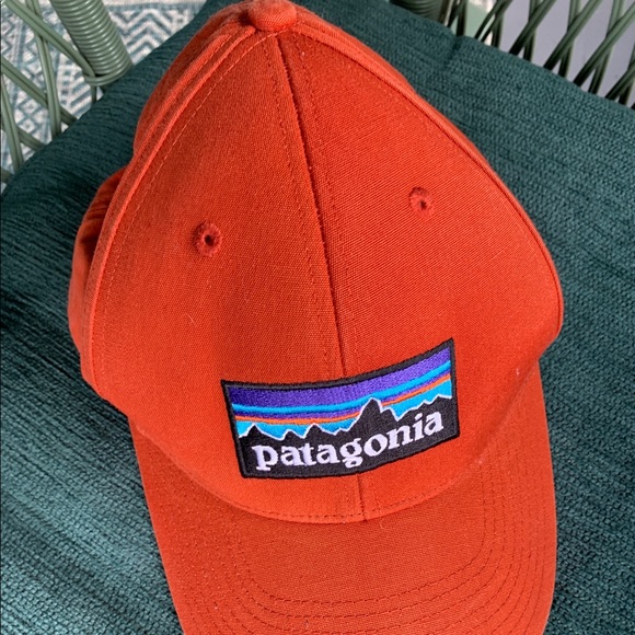 Patagonia Accessories Patagonia Ball Cap Adjustable Like New Poshmark
